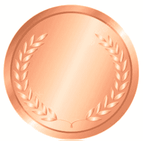 bronze-sla